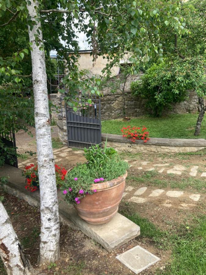 Borgo alla Collina “Da Paolino”ヴィラ エクステリア 写真